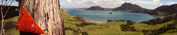 Bay of Islands activities - Te Araroa Trail