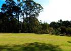 The expansive lawns and native bush at Hone Heke Lodge backpackers Kerikeri