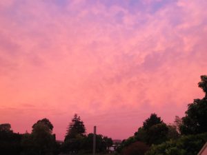 Beautiful sunset at Hone Heke Lodge budget accommodation Kerikeri