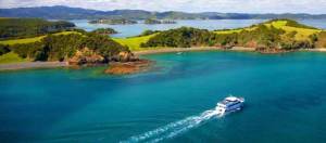Bay of Islands activities: Cream Trip