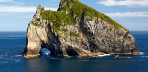 Bay of Islands activities: Hole in the rock dolphin cruise