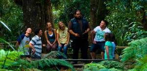 Bay of Islands activities: Hokianga Maori guided tour