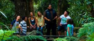 Bay of Islands activities: Maori guided tour in Hokianga, including giant kauri tree Tane Mahuta