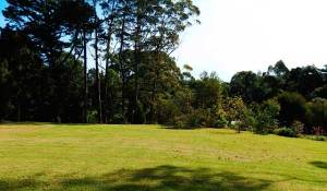B&B Kerikeri large lawns and park-like grounds