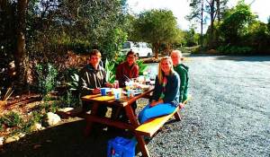 B&B Kerikeri picnic table