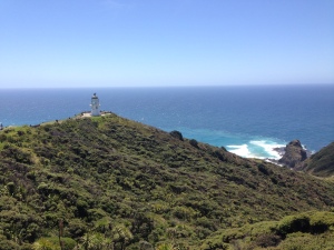 Things to do in Northland: Visit Cape Reinga