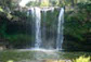 Rainbow Falls near Hone Heke Lodge backpackers Kerikeri
