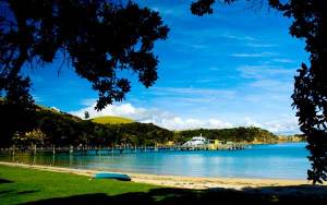 The famous Bay of Islands Cream Trip.