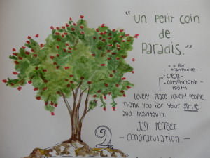 A lovely card reviewing our budget accommodation Kerikeri