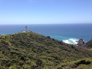 Things to do in Northland: Visit Cape Reinga