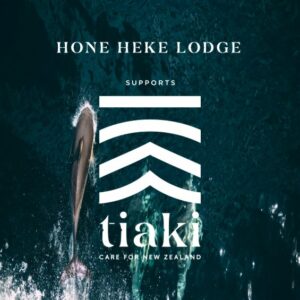 Hone Heke Lodge supports Tiaki Promise Bay of Islands.